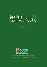 怨偶天成[娱乐圈]